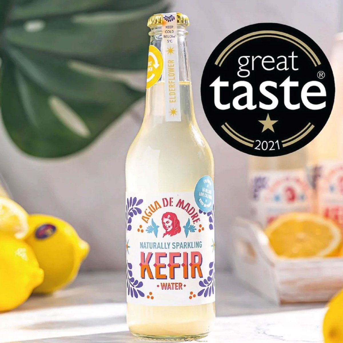 Agua de Madre Elderflower & Apple Kefir Water 33cl - Agua de Madre