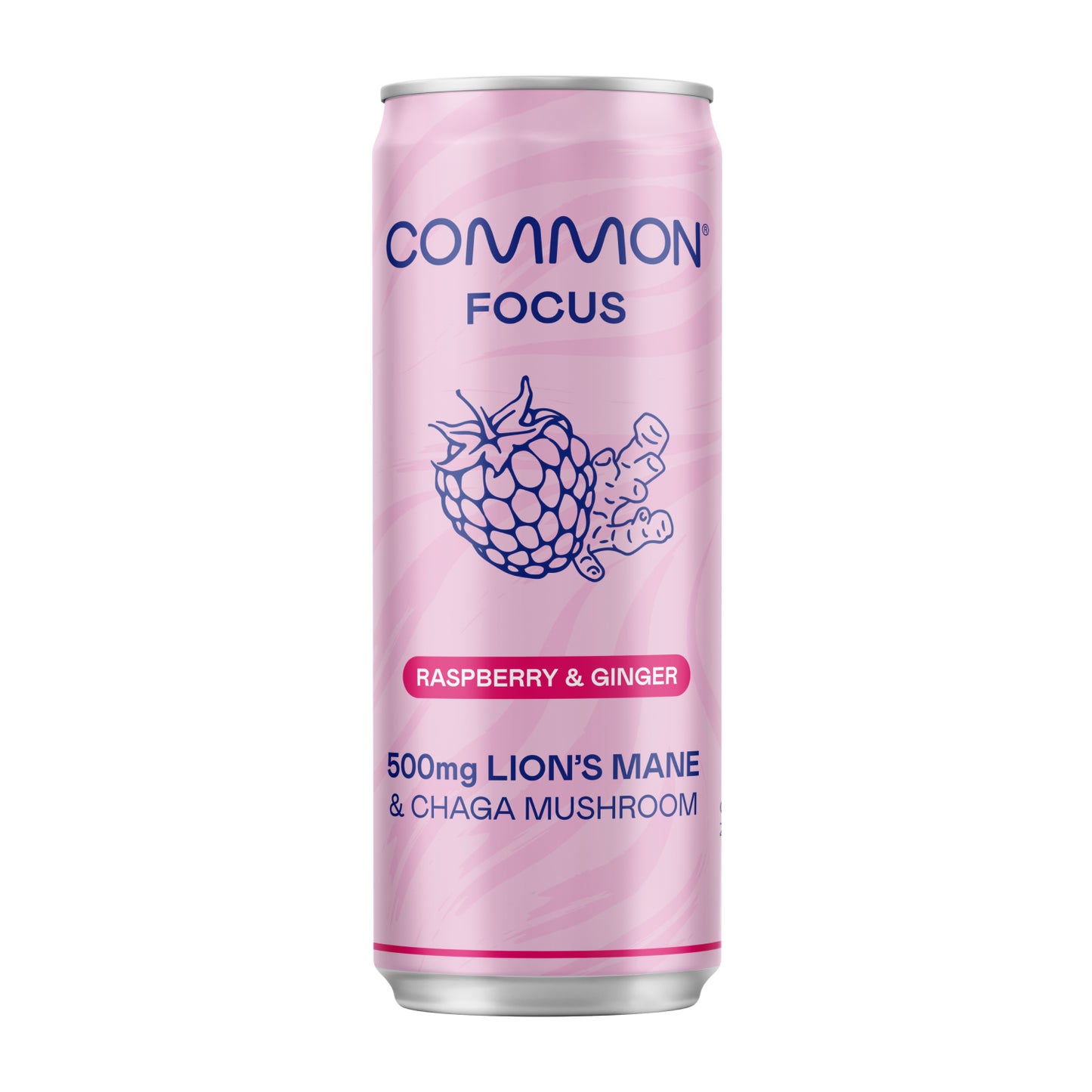 Common Raspberry & Ginger Lion's Mane Sparkling Water 330ml